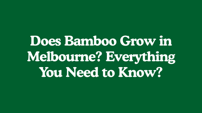 Does Bamboo Grow in Melbourne