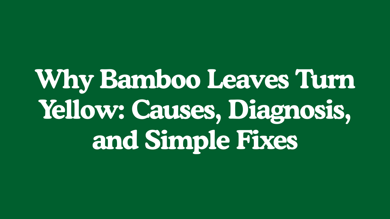 Why Bamboo Leaves Turn Yellow?